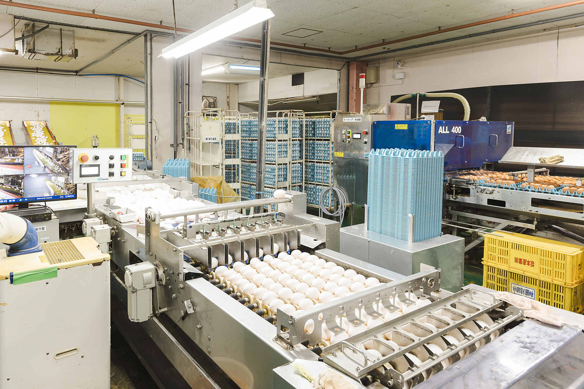 原卵投入のイメージ画像