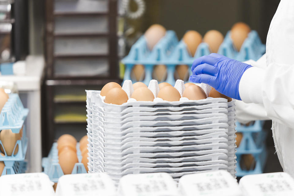 梱包された卵の画像